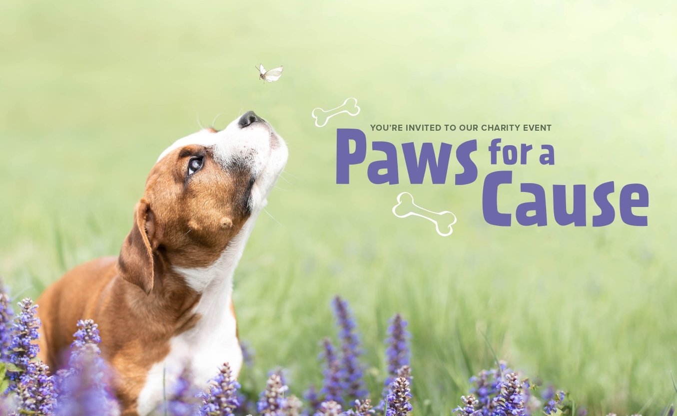 STSS-0041-Hubspot Header_Paws For Cause_5-23-26_CLG_page-0001